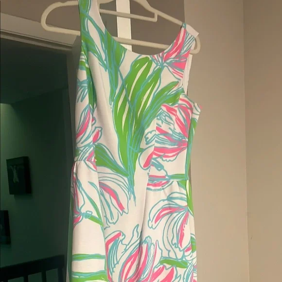 Lilly Pulitzer gorgeous dress - Picture 1 of 5